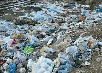 Ara sokaklara atılan çöpler temizlenmeyi bekliyor