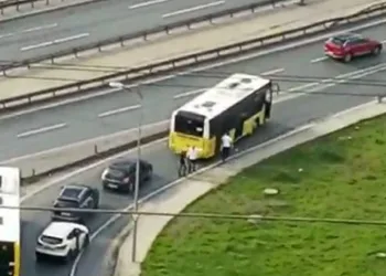Yavru karga son anda kurtarıldı