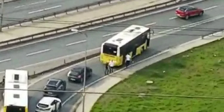 Yavru karga son anda kurtarıldı