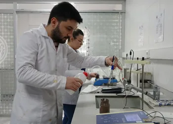 Zeytinin verimliliği için analizler başladı