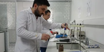 Zeytinin verimliliği için analizler başladı