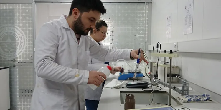 Zeytinin verimliliği için analizler başladı