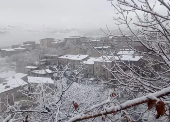 Hakkari’de kar yağışı ve sis