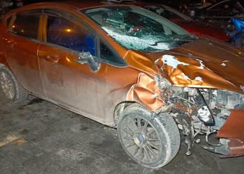 Bursa’da otomobil yola fırlayan mandaya çarptı