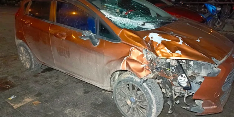 Bursa’da otomobil yola fırlayan mandaya çarptı
