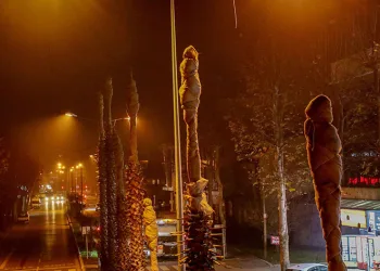 Sakarya’nın süsü palmiyeler kışa hazır