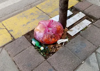Ağaç dipleri çöplük oldu