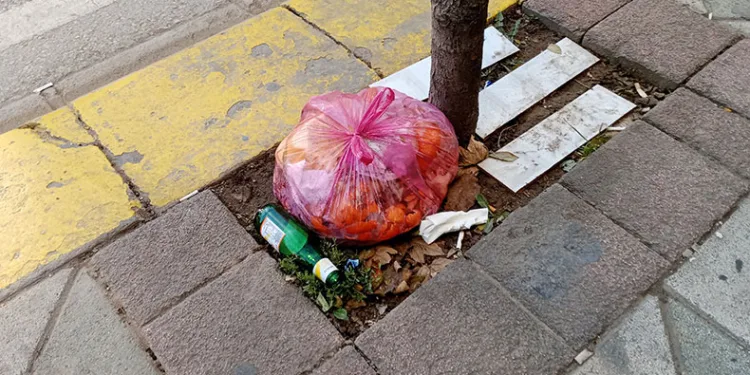 Ağaç dipleri çöplük oldu