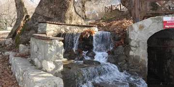 Fotoğraf severler için doğal stüdyo oldu