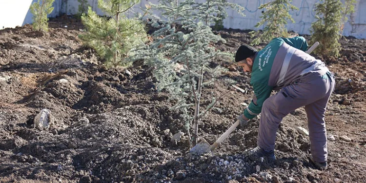 Park ve bahçelerde peyzaj çalışmaları