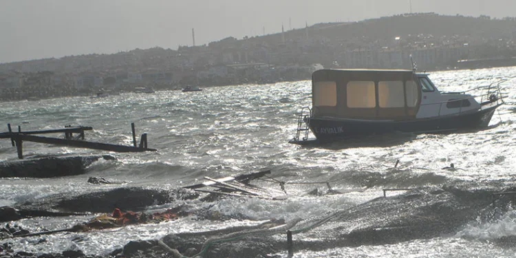 Her fırtınada paramparça oluyorlar