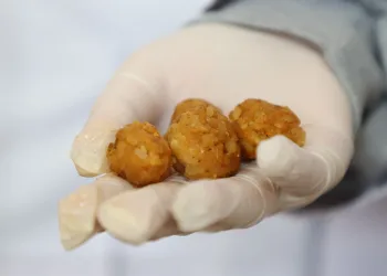 Yemek artıkları ile sokak hayvanlarına özel mama