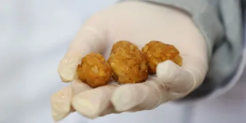 Yemek artıkları ile sokak hayvanlarına özel mama