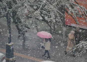 Bitlis’te yoğun kar yağışı başladı