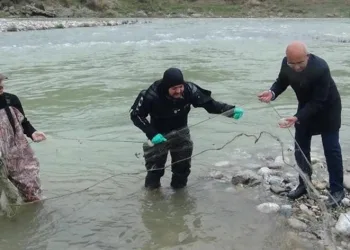 Çaylarda hayalet ağ temizliği