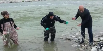 Çaylarda hayalet ağ temizliği