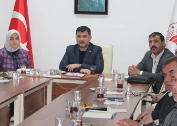Fındık tarımında yeni uygulamalar değerlendirildi