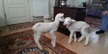 Başkan Aktaş’tan madalyalı öğrencilere ziyaret