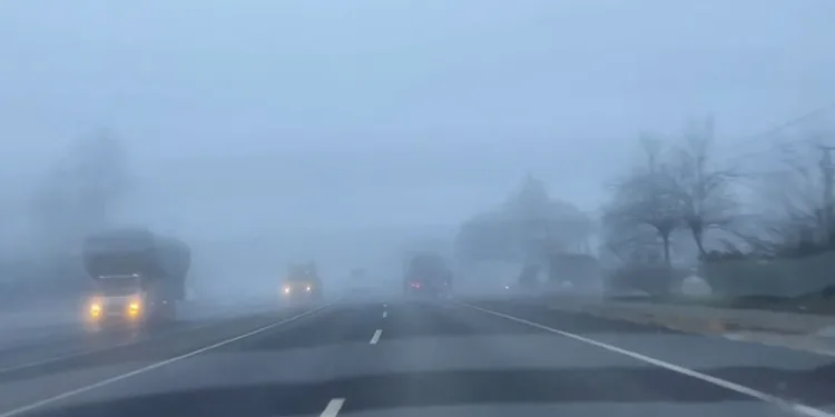 Zonguldak’ta sis etkili oldu
