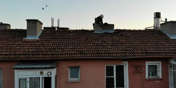 Temizlenmeyen bacalar tehlike saçıyor