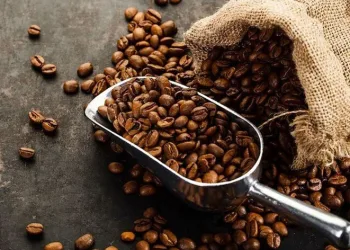 Kahve neden tercih ediliyor?