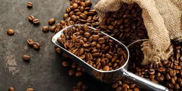 Kahve neden tercih ediliyor?