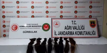 Gümrük kaçağı insan saçı ele geçirildi