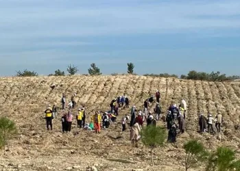 Depremzede çocuklar fidan dikti