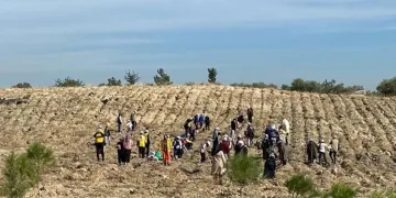Depremzede çocuklar fidan dikti