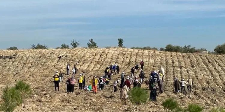 Depremzede çocuklar fidan dikti