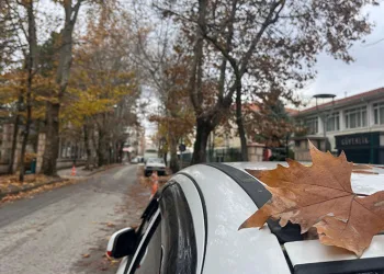 Sokaktaki sonbahar manzarası mest etti