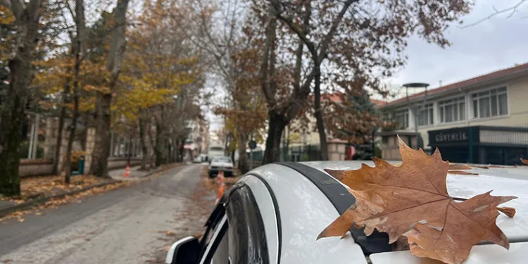 Sokaktaki sonbahar manzarası mest etti