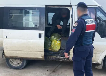 Jandarmadan düzensiz göçmen operasyonu