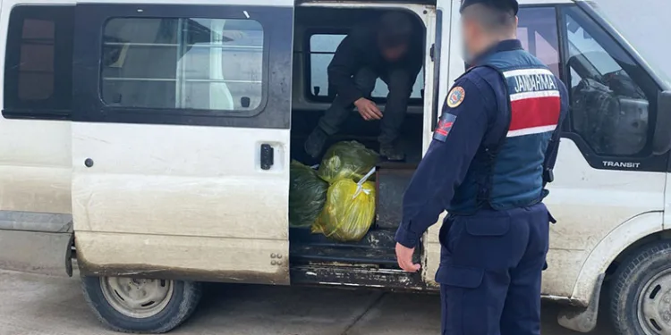 Jandarmadan düzensiz göçmen operasyonu