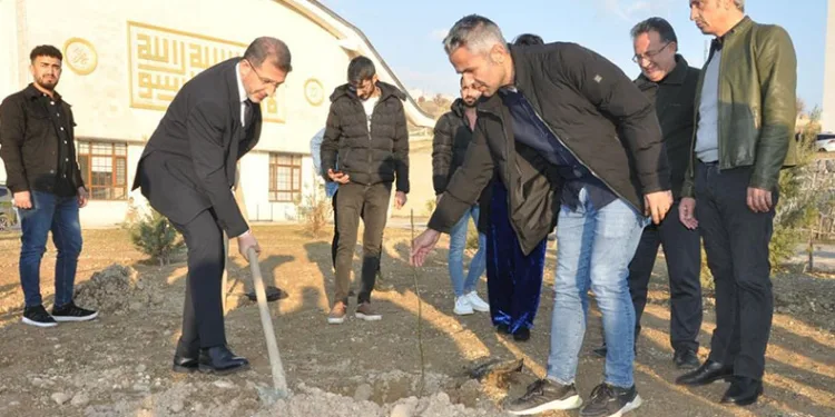 Fidanlar toprakla buluşuyor