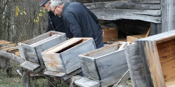 Ayılar köyde 50 arı kovanını parçaladı