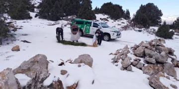 Yaban hayvanları unutulmadı