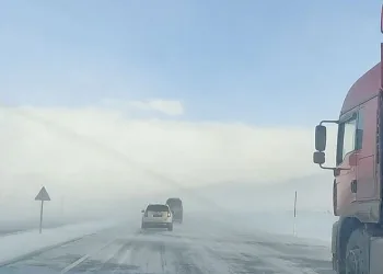 Ardahan’da tipi ulaşımı aksatıyor