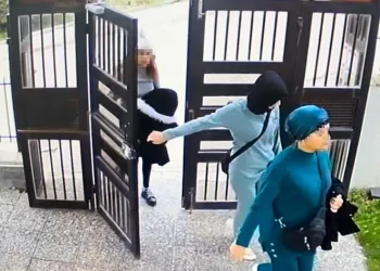 Hem aile hem çete reisi