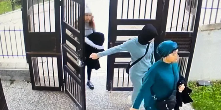 Hem aile hem çete reisi