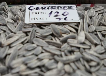 “Türk halkının en büyük eğlencesi
