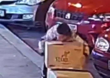 Boyu kadar ayakkabı kolisini çalıp kayıplara karıştı