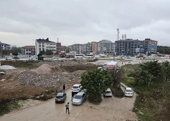 Çareyi yolu kapatmakta buldu