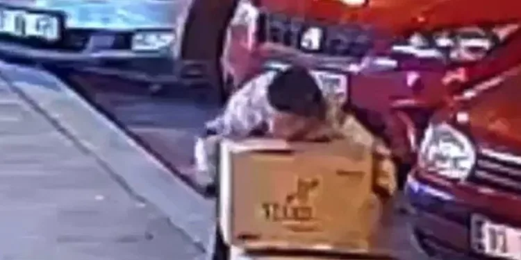 Boyu kadar ayakkabı kolisini çalıp kayıplara karıştı