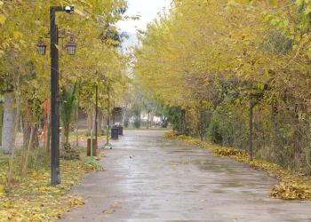 Sonbahar renk cümbüşüne çevirdi