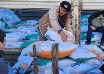 Orman yangınlarından etkilenen üreticilere yem desteği