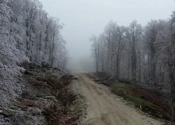 Kışın güzelliği gelin ve damatları Çataldağ’a çekiyor