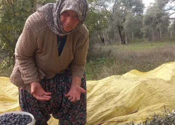 Adı üstünde eski toprak