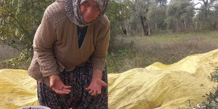Adı üstünde eski toprak