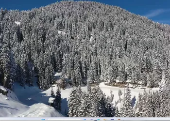 Giresun yaylalarından kartpostallık manzaralar